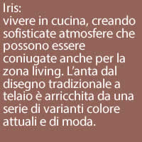 Iris:
vivere in cucina, creando sofisticate atmosfere che possono essere coniugate anche per la zona living. L’anta dal disegno tradizionale a telaio è arricchita da una serie di varianti colore attuali e di moda. 